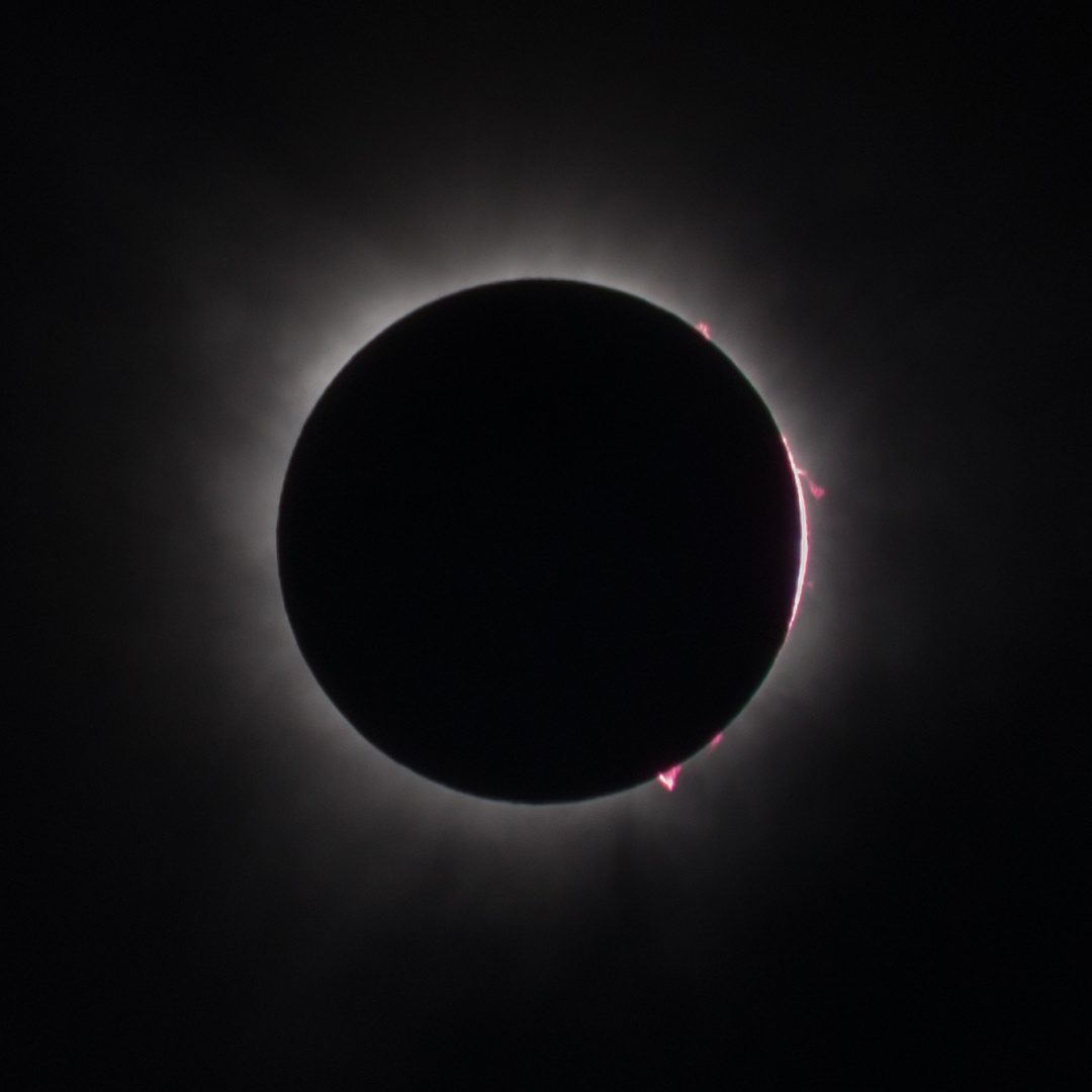 The totally eclipsed Sun on 8 April 2024, with the corona and small pink prominences at the Moon's edge.