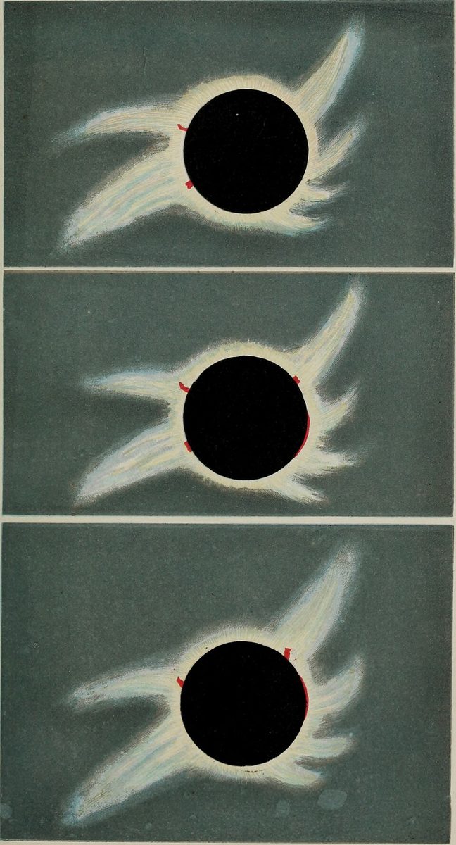 Three colored drawings of the eclipsed Sun on 18 August 1868, showing the corona and small red prominences at the Moon's edge.