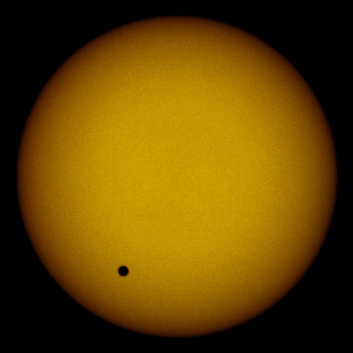 The yellow disc of the Sun with the small black dot of Venus crossing it, 8 June 2004.