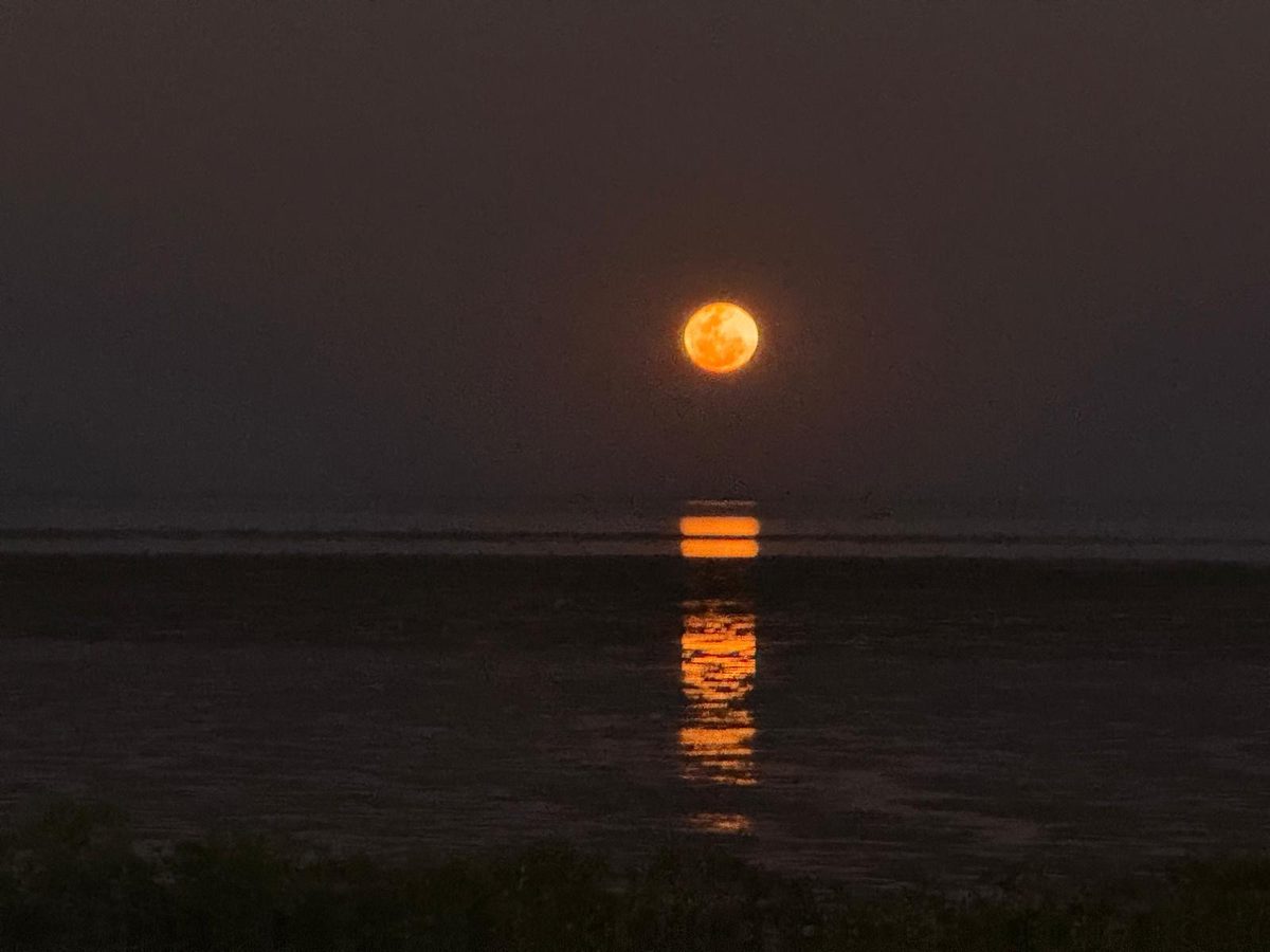 The rising full Moon lays a ladder of orange light across the tidal flats of Roebuck Bay at Broome.