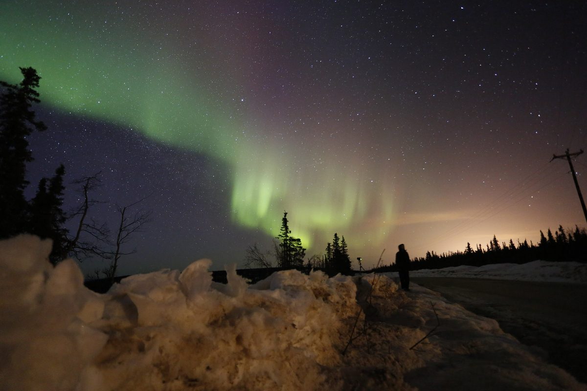 A green aurora arcs across a starry sky over spruce trees and a snowy roadside near Fairbanks.